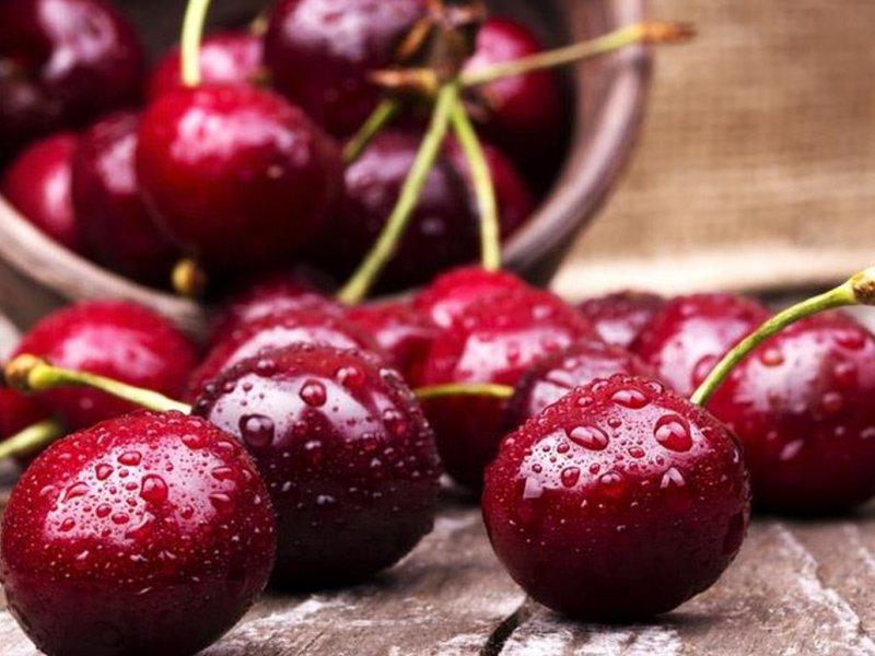 Вишня купить саженцы из питомника в Бугульме